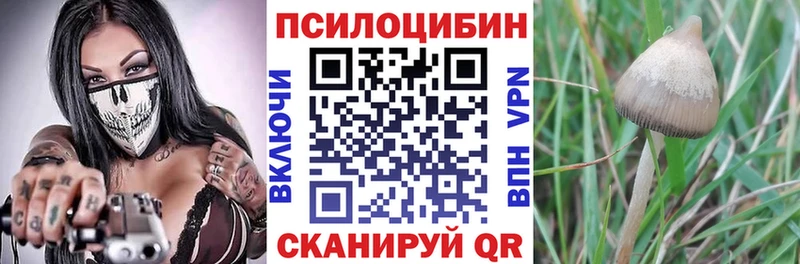 гидра   Калтан  Галлюциногенные грибы ЛСД  что такое наркотик 